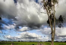 爱尔兰选手再次获奖，实力超群